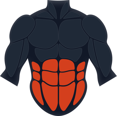 Abs and core muscle group